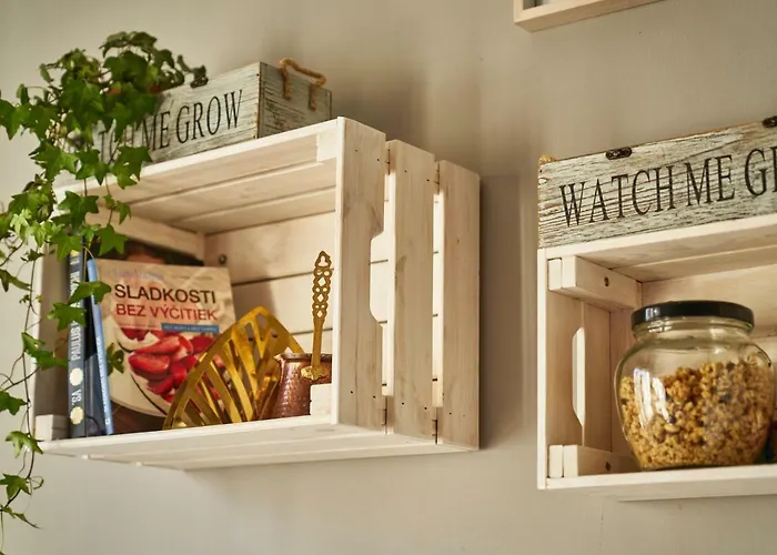 Apartament Vintage In The Old Town *